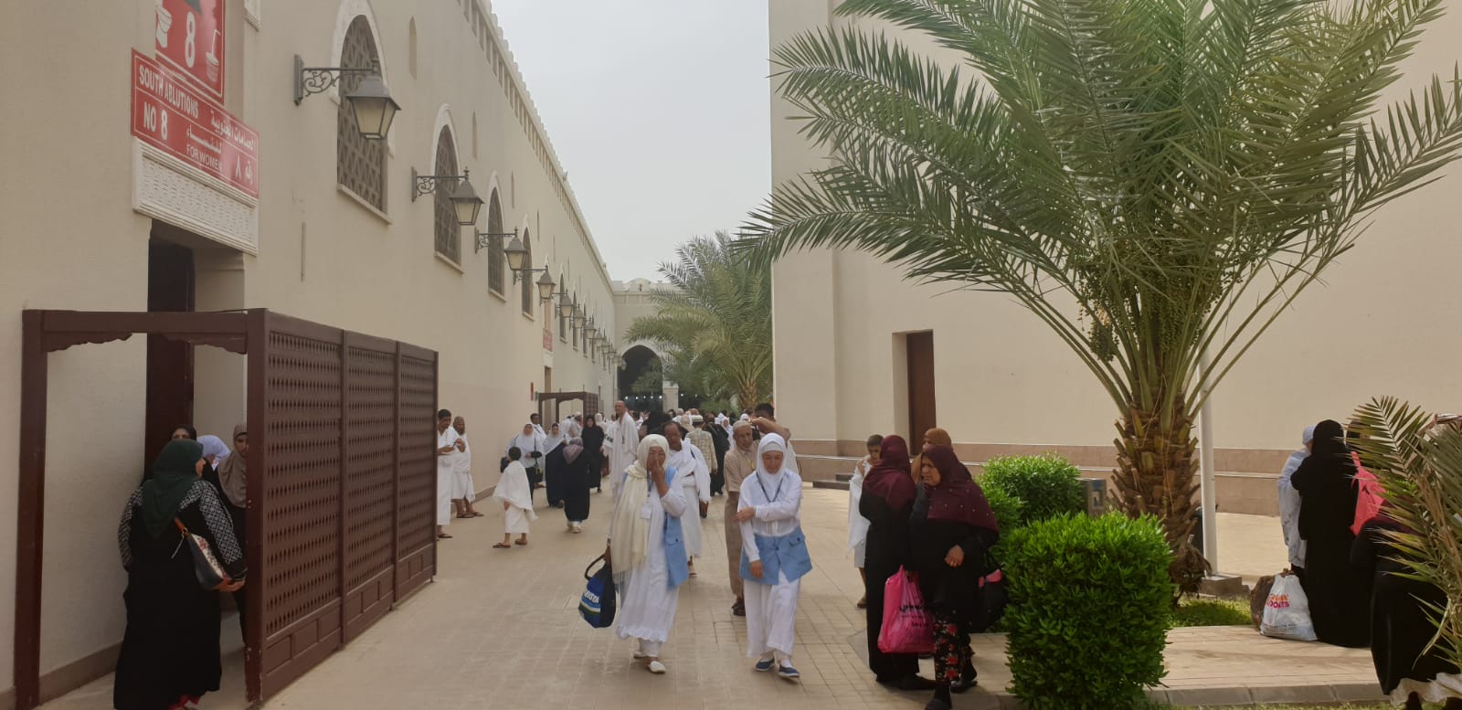 WhatsApp Image 2019-04-26 at 4.10.57 PM.jpeg.jpeg